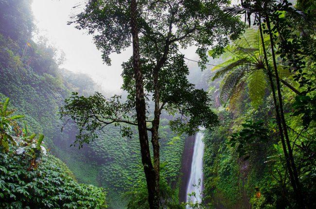 waterfall-384663_1920